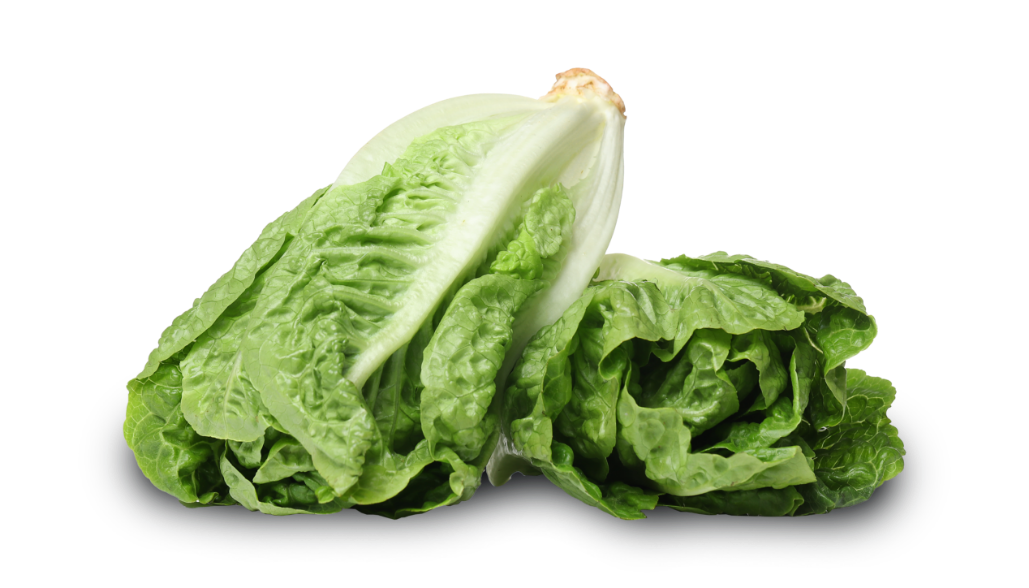 https://mcentireproduce.com/wp-content/uploads/2024/02/lettuces-white-surface-copy.png
